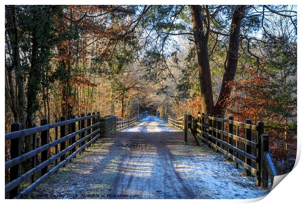 Central Bridge in Winter Print by David Tinsley