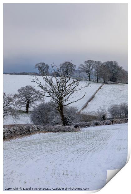 Rural Snowy Landscape Print by David Tinsley