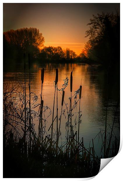 Dawn on the Exe Print by Andy dean
