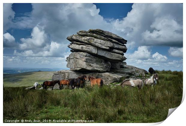 Equine meeting Print by Andy dean