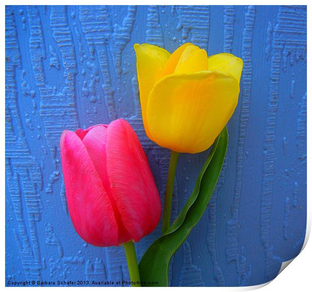 Tulips on Blue Print by Barbara Schafer