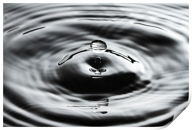 Water Droplet Print by Malcolm Wood