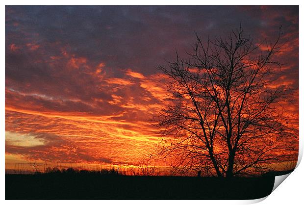 Autumn Sunset Print by Donna-Marie Parsons