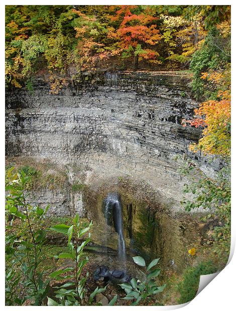 Tews Falls in Autumn Print by Donna-Marie Parsons