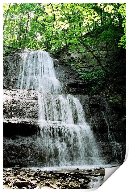 Sherman Falls  Print by Donna-Marie Parsons