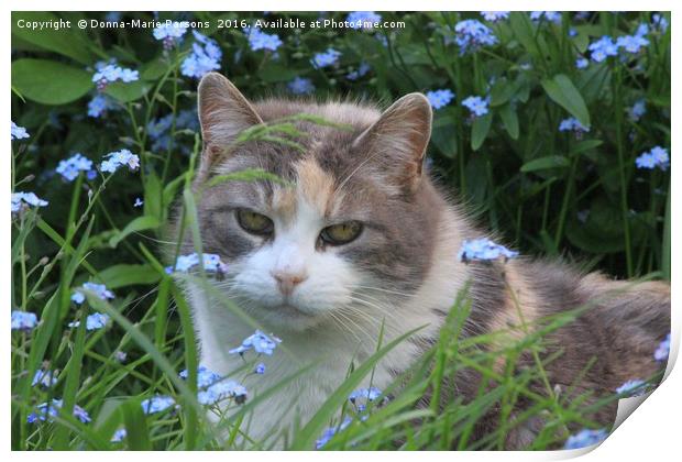Pretty Kitty in the Flowers Print by Donna-Marie Parsons