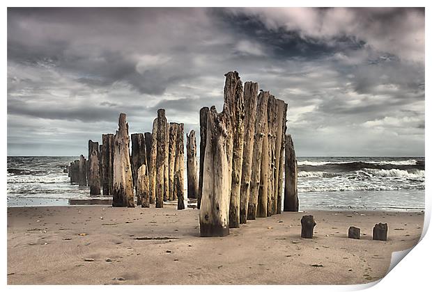 Wooden Posts Print by kevin wise