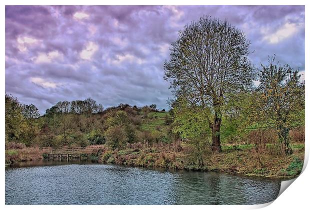  Wharram Percy fish pond Print by kevin wise