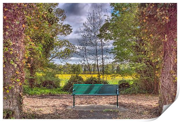  Bench Print by kevin wise
