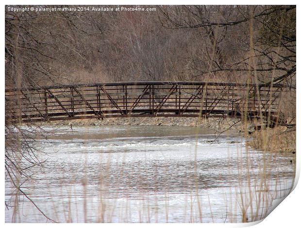 Bridge Print by paramjot matharu