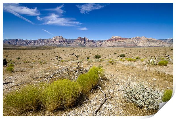 Red Rock Canyon Print by Adam Duffield