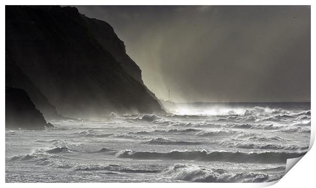 Wild Seas Print by Sue Wotton