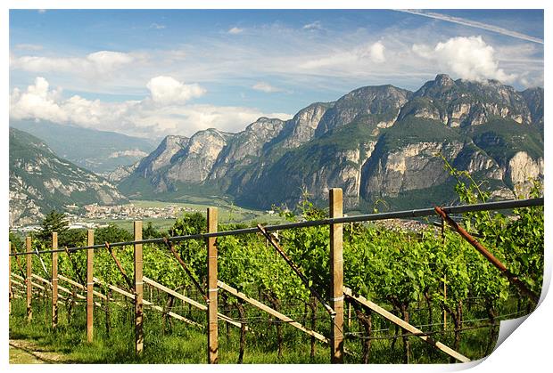 The Vineyards of Trentino Print by Michelle Stranges