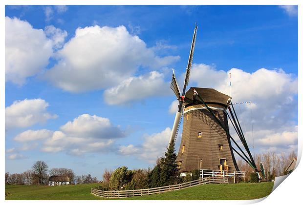 Windmill Print by Ankor Light