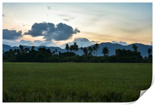 Penang paddle field at the sunrise moment Print by Ankor Light