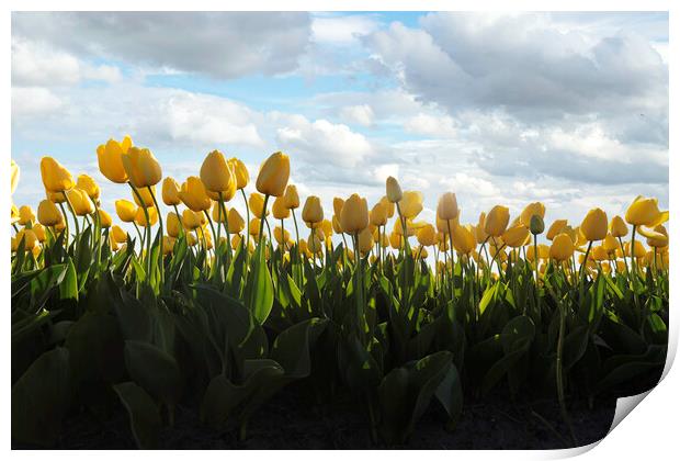 A group of people standing on a flower Print by Ankor Light