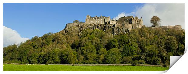 Stirling Castle Print by Buster Brown