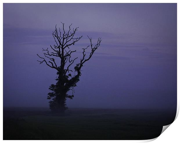 Minimalist Tree in Mist Print by Buster Brown