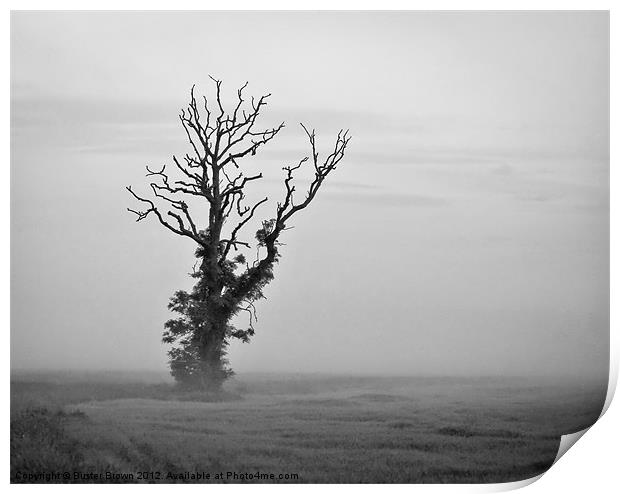 Minimalist Tree in Mist BW Print by Buster Brown