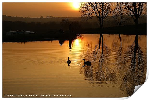 Sunset and Geese Print by philip milner