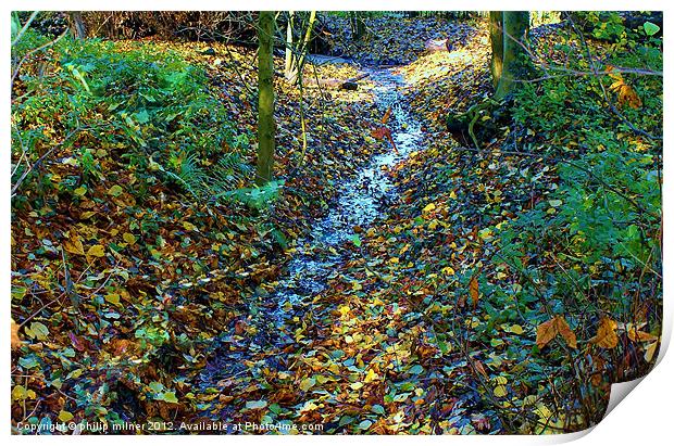 Autumn in The Woods Print by philip milner