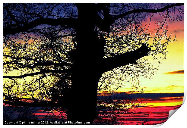Winter Silhouette Sunrise Print by philip milner