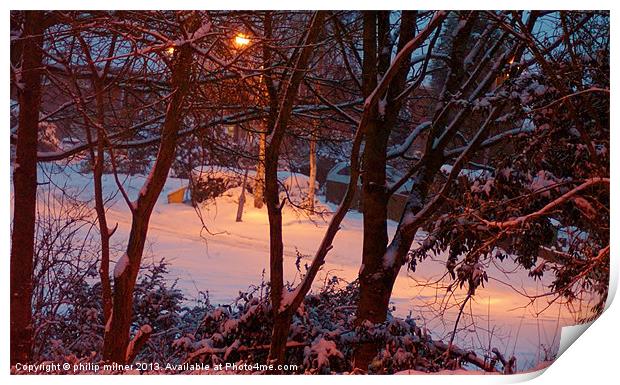 Winter From My Window Print by philip milner