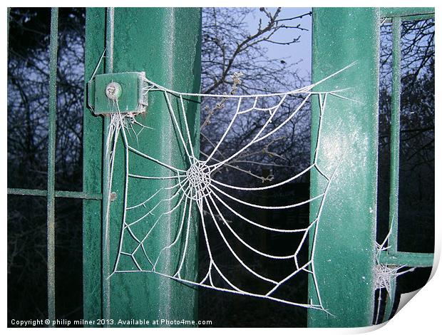 Frozen Spiders Web Print by philip milner