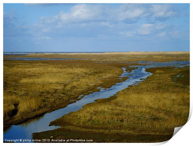 Saltfleet Marshes Humber Estuary Print by philip milner