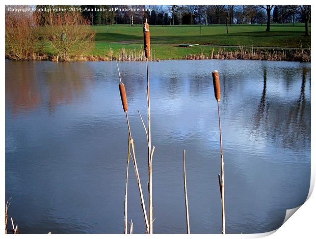 The Golf Course Pool Print by philip milner