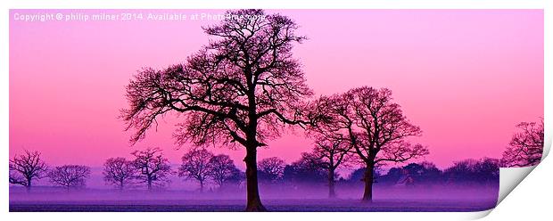 Misty Sunrise In Warwickshire Print by philip milner
