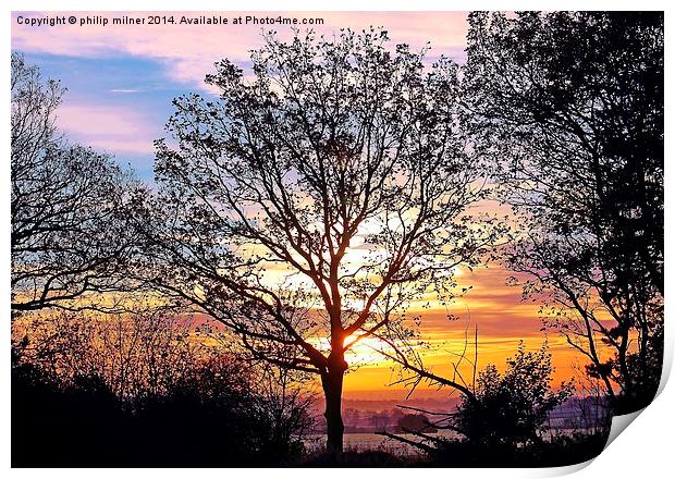  Frosty Sunrise In Warwickshire Print by philip milner
