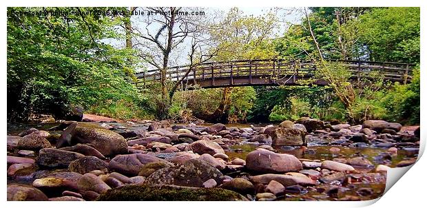  Brecon Beacons Riverbed Print by philip milner