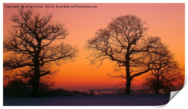 Silhouette Of trees Print by philip milner