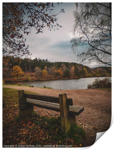 Autumn Landscape looking over the Lake in Cannock Chase, Staffordshire Print by Shawn Nicholas