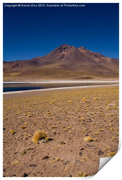 Laguna Miscanti Atacama Print by Daniel Zrno