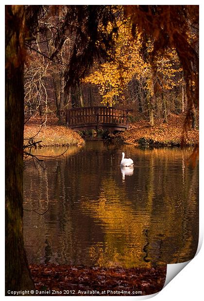 Swan at Maksimir Lake Print by Daniel Zrno