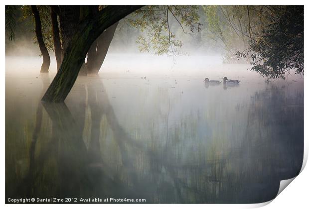 Ducks on Bundek Ghost Lake Print by Daniel Zrno