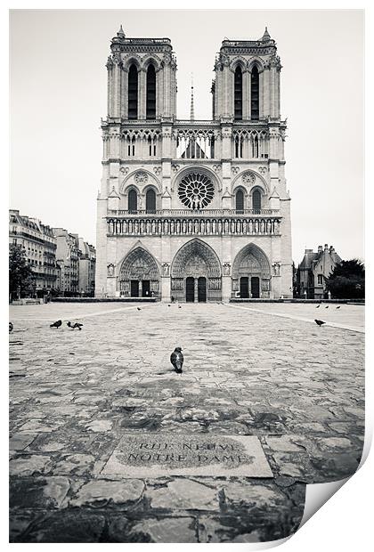 Notre Dame Print by Daniel Zrno