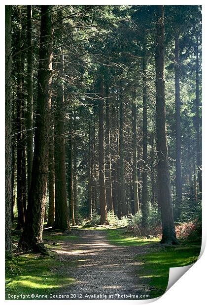 A walk in the woods Print by Anne Couzens