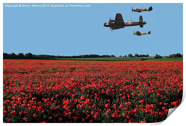 Battle Of Britain Print by Steve Adams