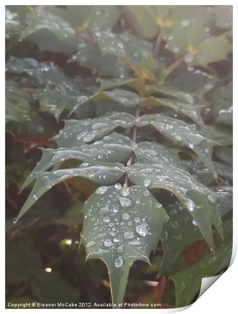 Seasonal Droplets! Print by Eleanor McCabe