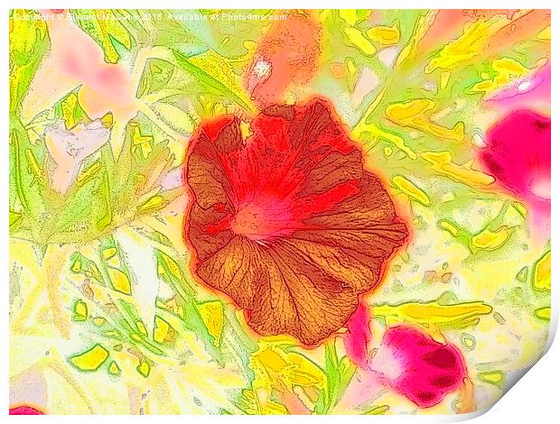  Red Summer Beauty Print by Eleanor McCabe