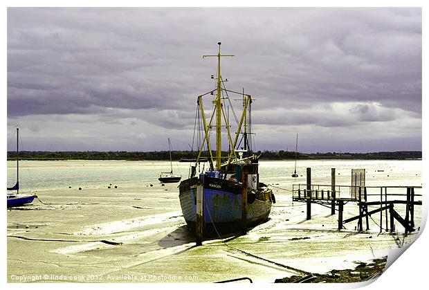 ranger in heybridge basin essex Print by linda cook