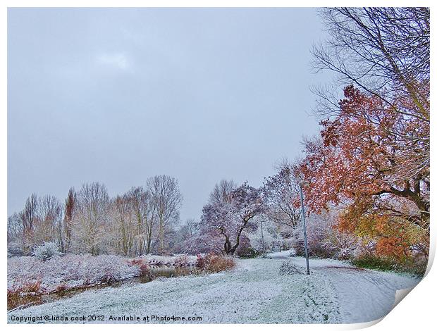 a dusting of snow... Print by linda cook