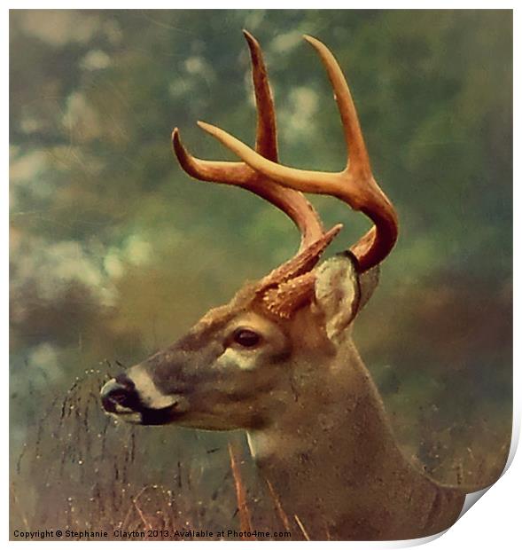 Oh Deer Print by Stephanie Clayton