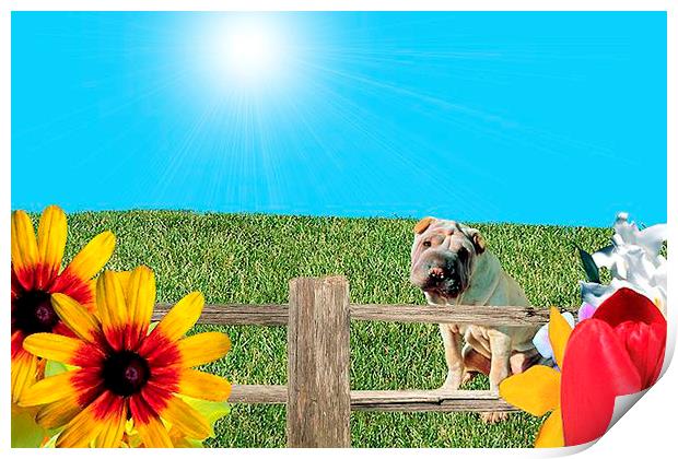 The Dog Days of Summer Print by Stephanie Clayton