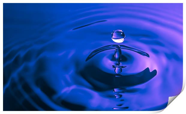 Water Drop Blue Print by Ian Cocklin