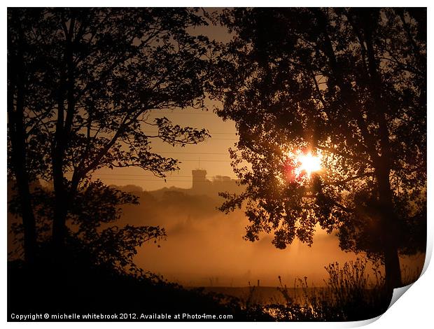 Sunrise through the trees Print by michelle whitebrook