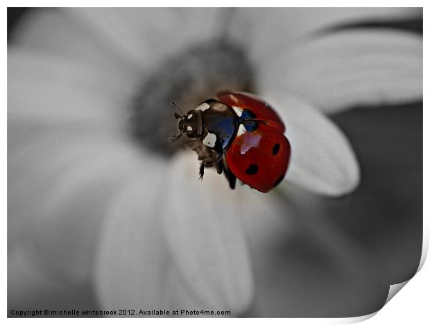 Flying ladybird B/W Print by michelle whitebrook